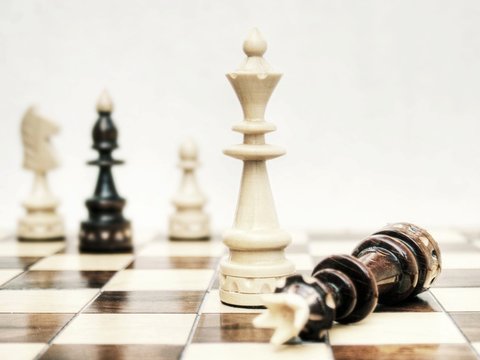 获取官方权威的六合彩结果信息服务
